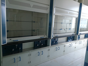 實(shí)驗(yàn)室通風(fēng)柜