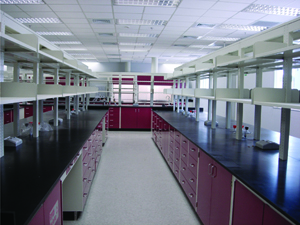 電子行業(yè)實(shí)驗(yàn)室家具工程案例