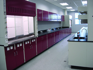 電子行業(yè)全鋼通風(fēng)柜工程案例